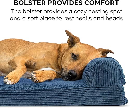 Miniatura 10 de Furhaven  Cama para perro. Sofá estilo tradicional terapéutico. Sofá cama de lujo de sala para mascotas con funda extraíble, para perros y gatos