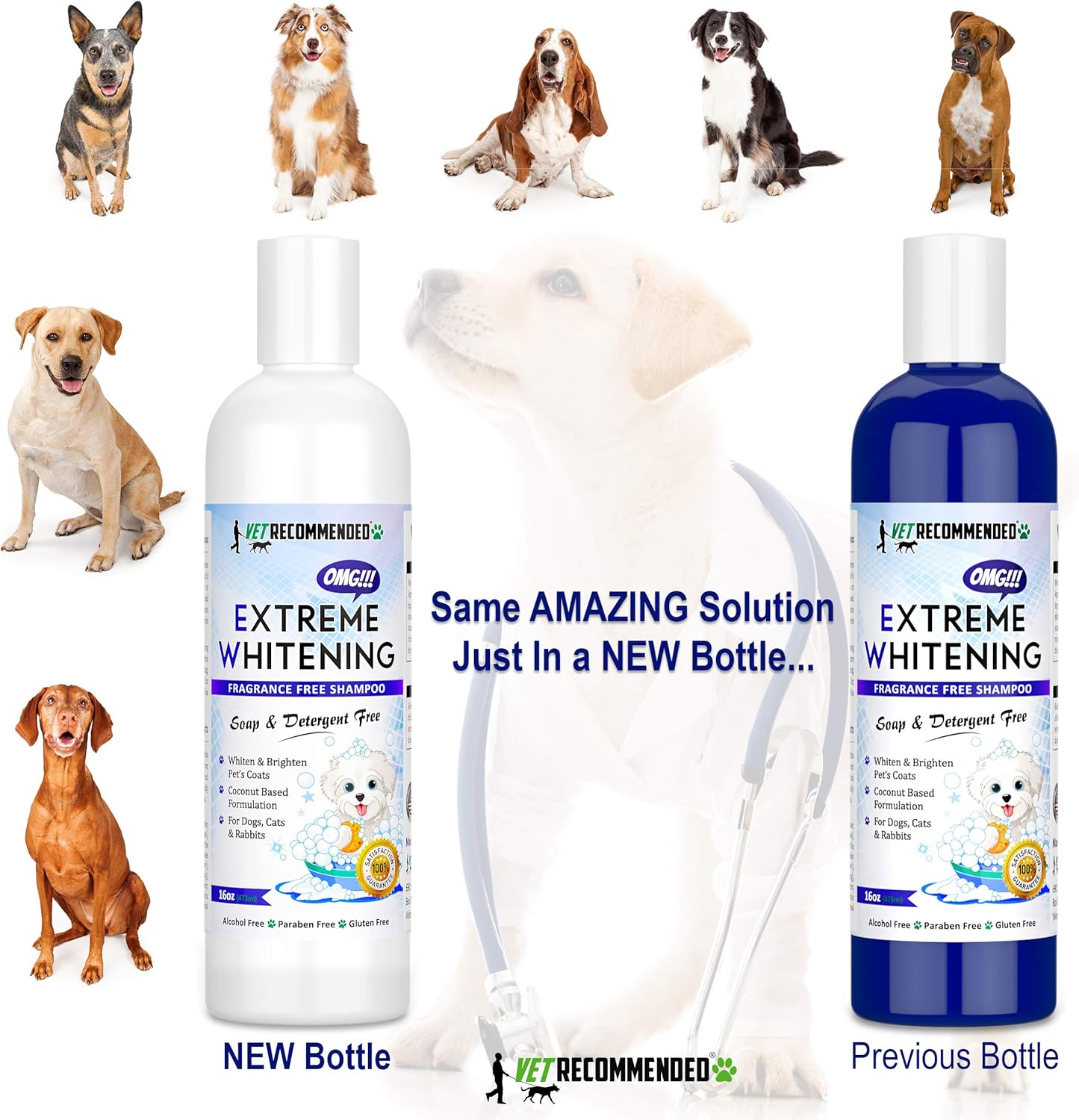 Best Horse Whitening Shampoos Buying Guide And