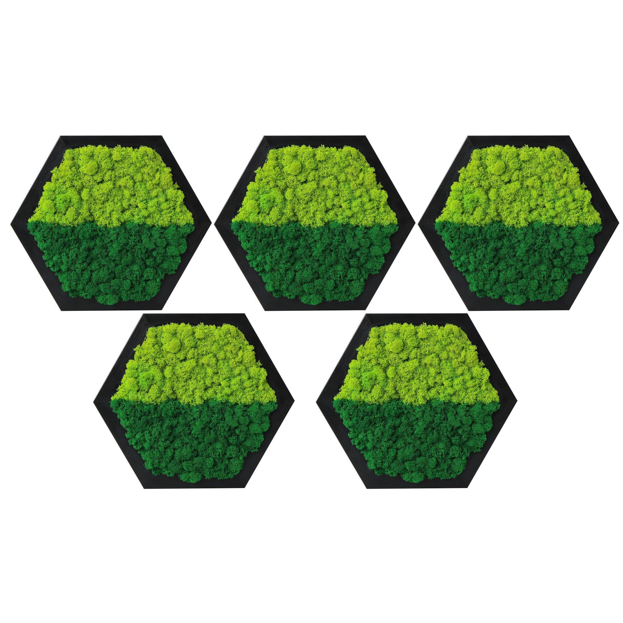 LVZHIHUAN Moss Wall Art Preserved Moss Honeycomb Hexagon 8