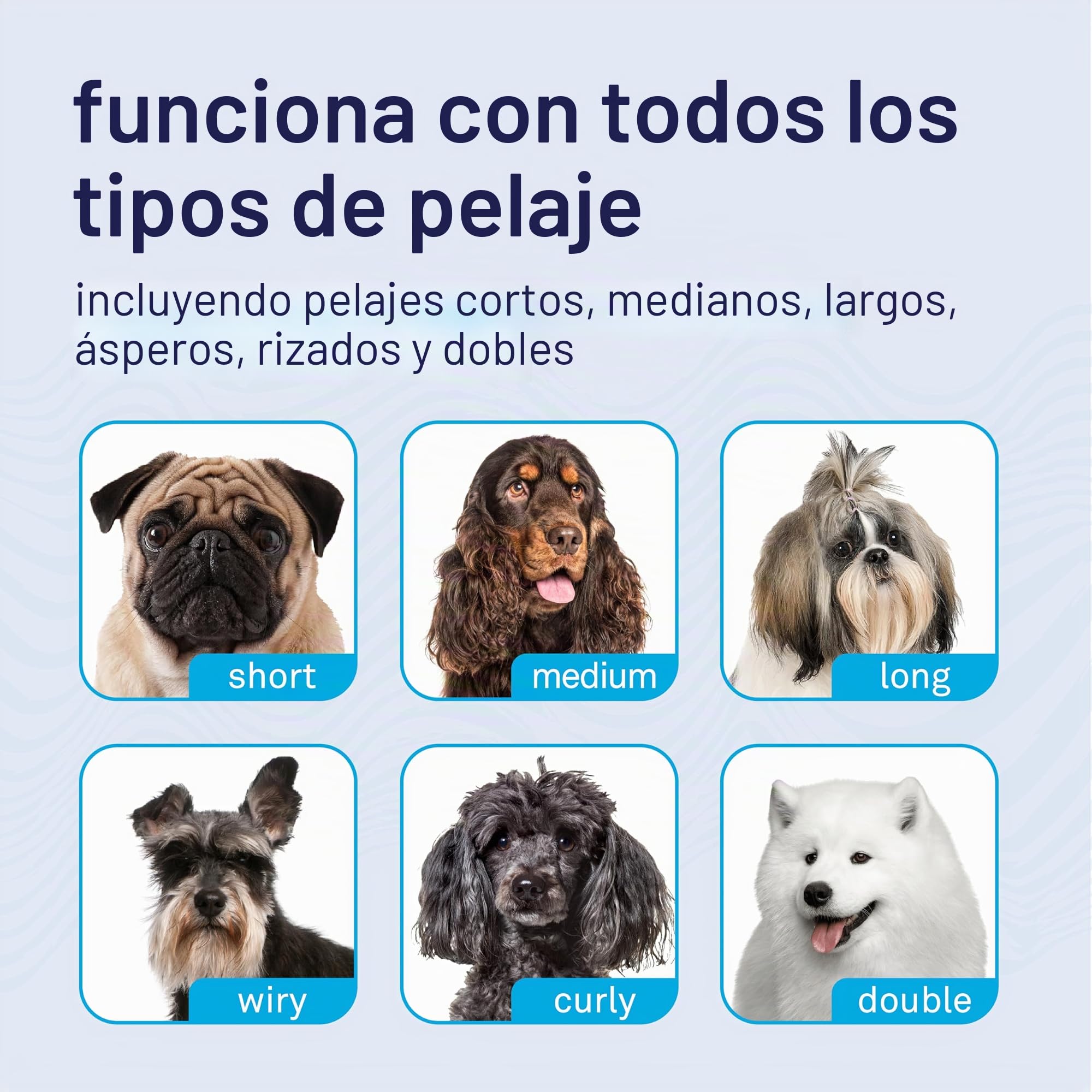 Petpost | Peine Cepillo Limpiador de Manchas Oculares para Perros – Con Dientes Extra Finos para Quitar Eficientemente Costras y Mucosidad a tu Shih Tsu o Maltés