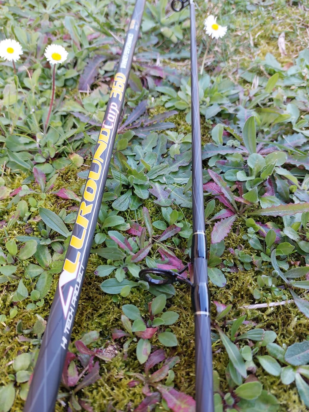 Canna Da Pesca Carpfishing in Carbonio - Carp Allround 12 piedi 2.75Lbs Carpa