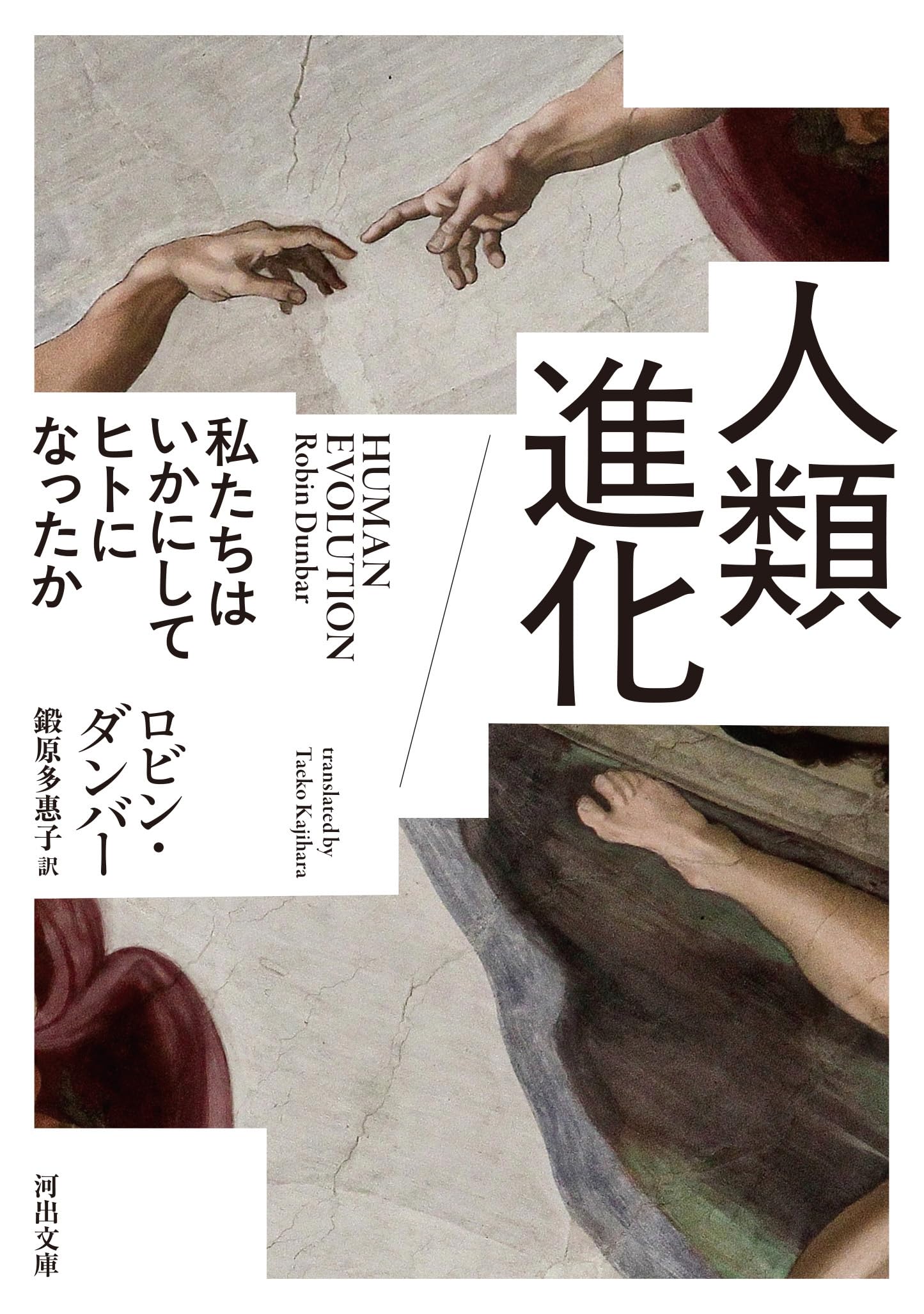 ヒトはどのように進化してきたか   /ミネルヴァ書房/ロバ-ト・ボイド（単行本） ヒトはどのように進化してきたか | ボイド,ロバート, シルク