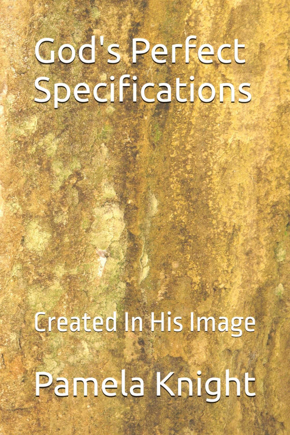 God's Perfect Specifications: Created In His Image