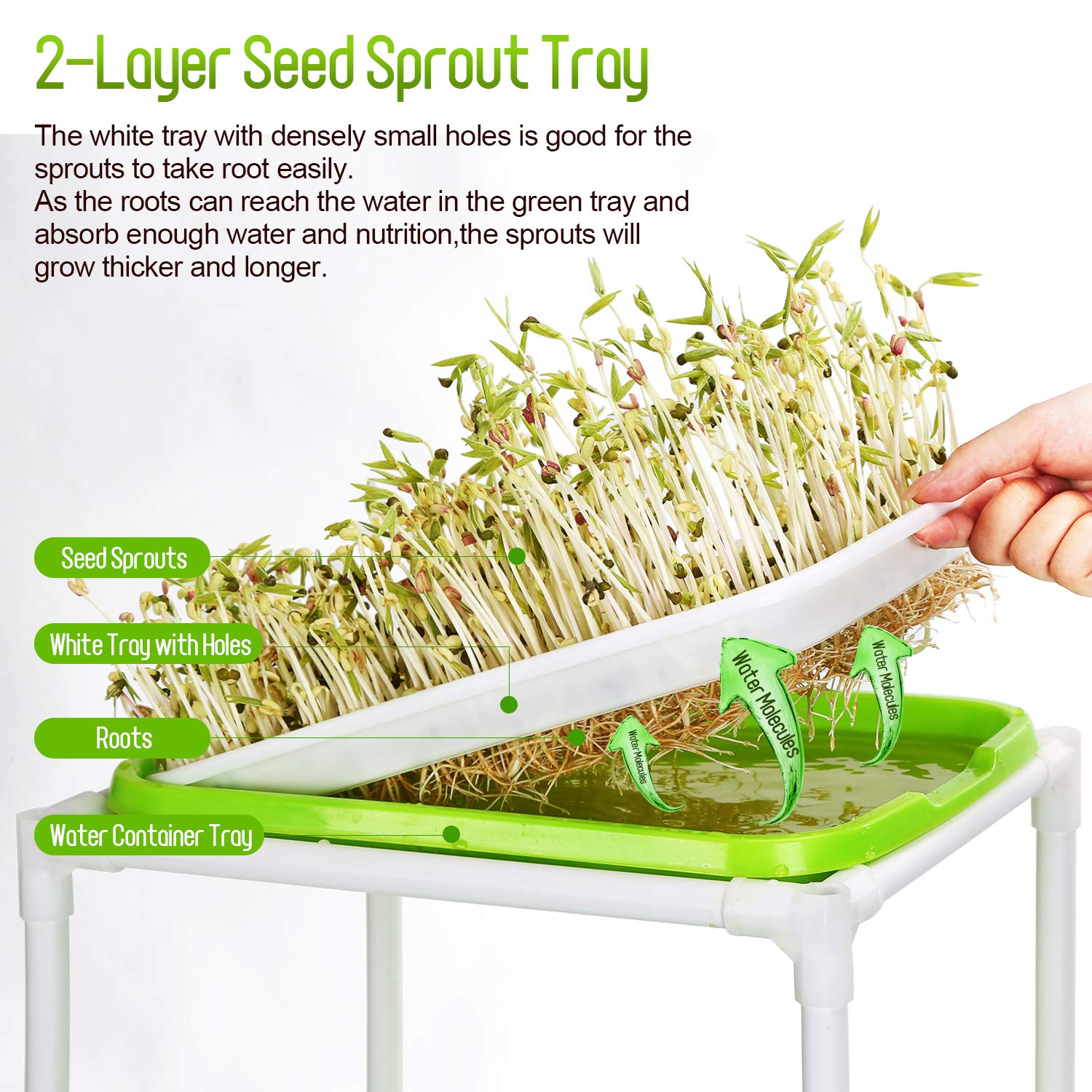 Tace do kiełkowania, taca do kiełkowania nasion 4 poziomy po 33 cm x 24 cm, wieża do kiełkowania z 4-warstwową plastikową półką, taca do kiełkowania nasion bez BPA do ogrodu i restauracji