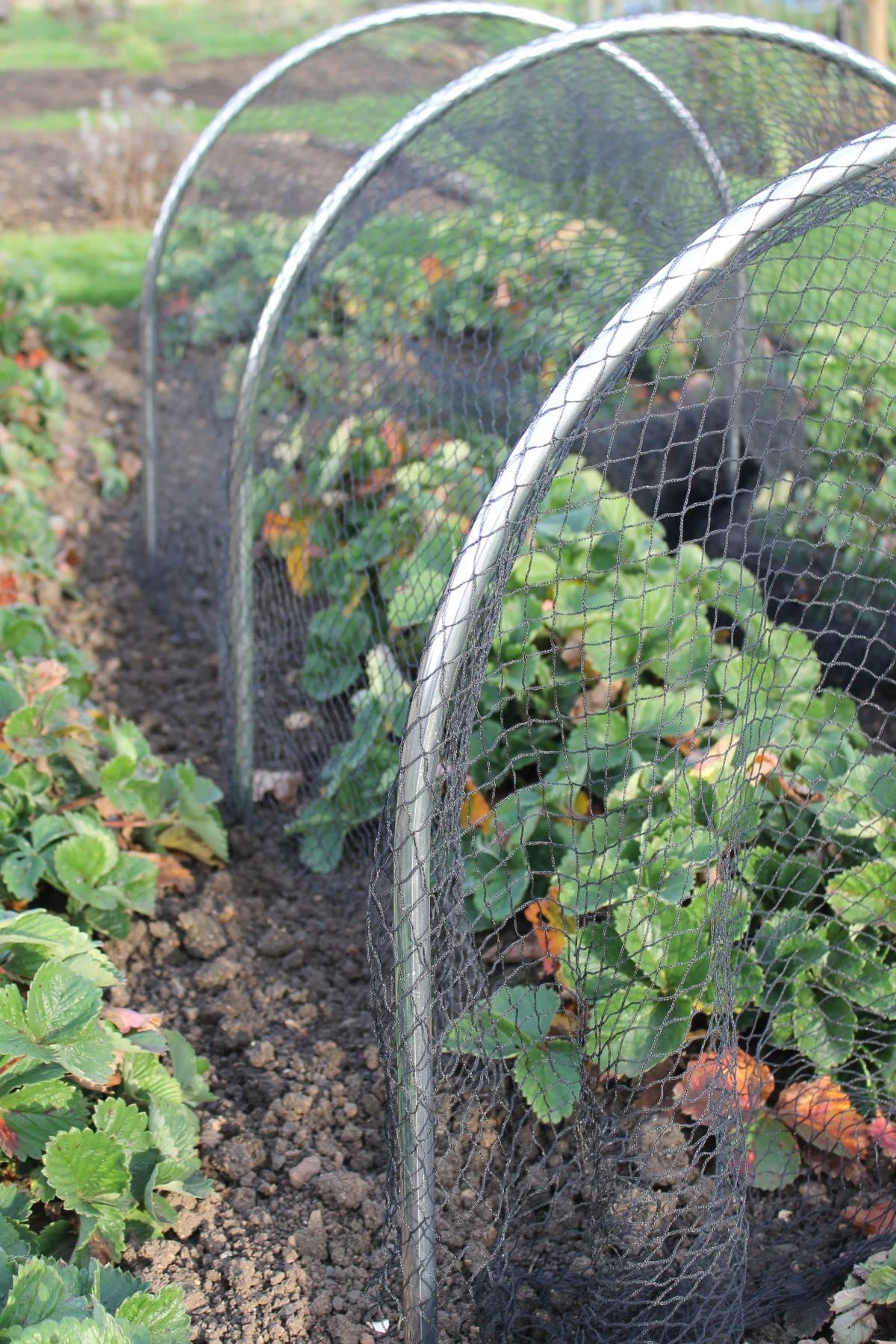 Small High Top Hoop Portable Domed Aluminium Tunnel Multiple Sizes (1.2m, No Netting)