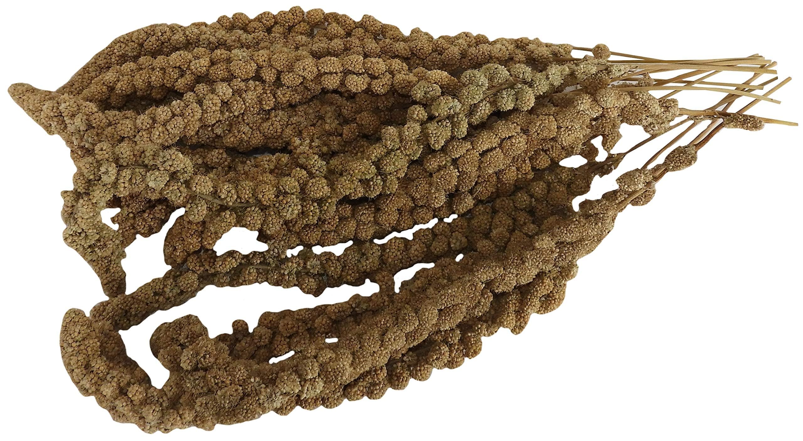 Aimé - Miglio in rami e semi per uccelli 250 g - Snack uccelli domestici a base di miglio - Mangime pappagalli e altri volatili 100% naturale - Aiuta a contrastare la noia e l'ansia - Made in France