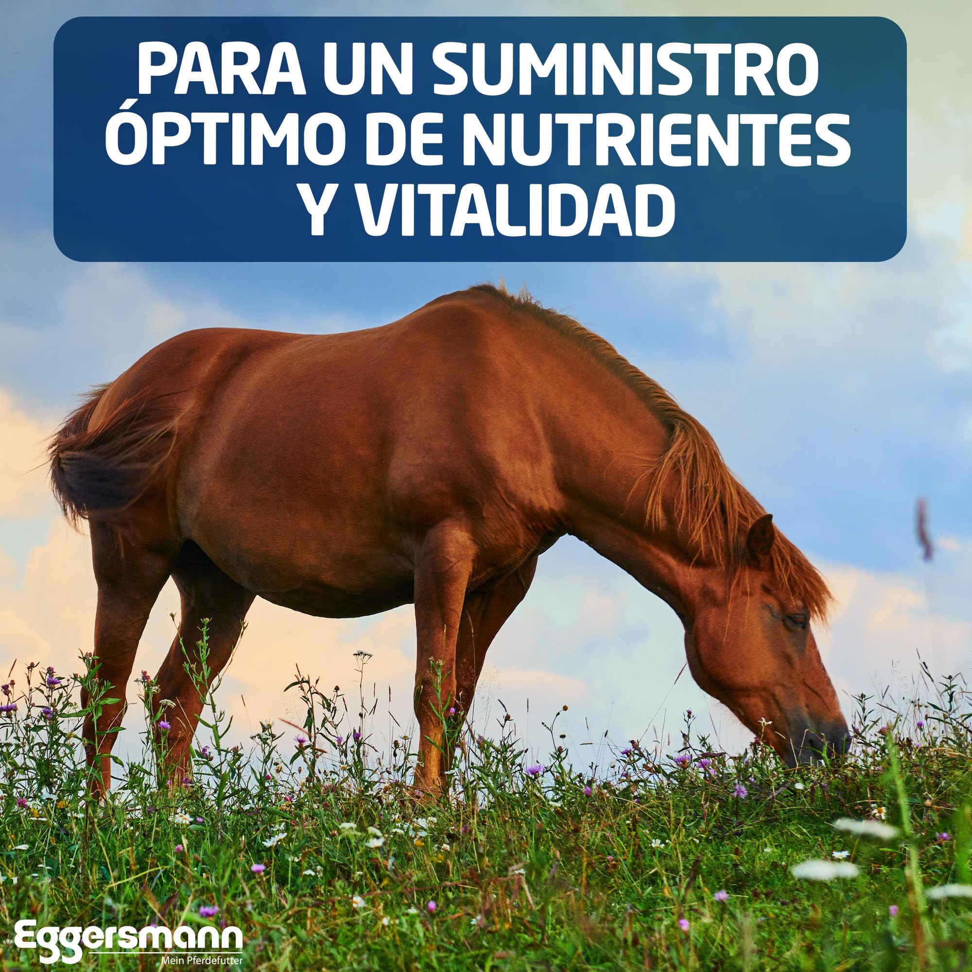 Eggersmann Mein Pferdefutter Terminal de Hierbas sin Cereales, 8 kg, sin Cereales, alimento Mineral para Caballos, para apoyar el metabolismo, Apto para Caballos sensibles a Las alergias