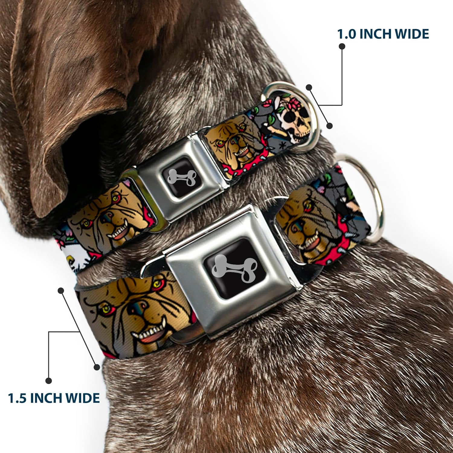 Buckle-Down Dog Collar Seatbelt Buckle Trust No One Gray, 1" Wide - Fits 11-17" Neck - Medium (DC-W32003-M)
