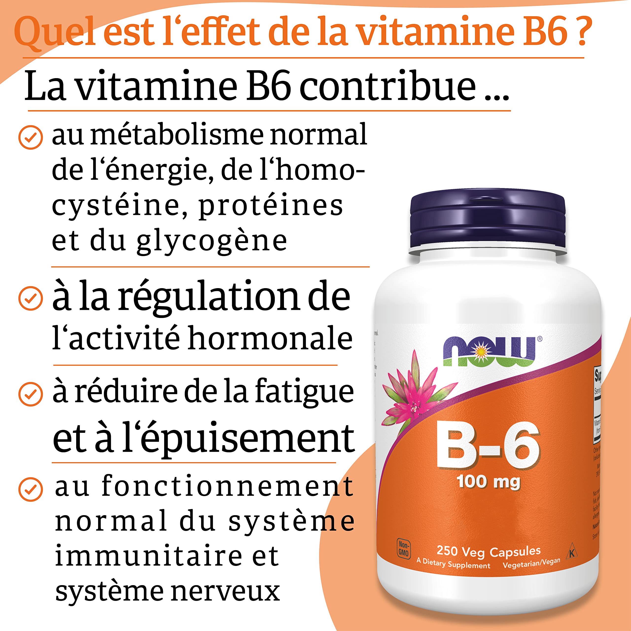 Now Foods, Vitamine B6 (Pyridoxine), 100mg, 250 Capsules végétaliennes, Testé en Laboratoire, Sans Gluten, Sans Soja, Végétarien, Sans OGM