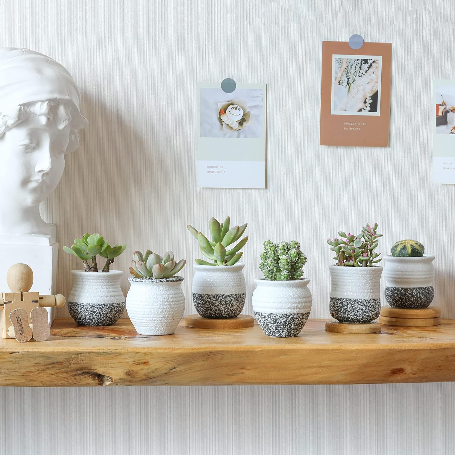 T4U 2.5 Inch Small Ceramic Succulent Planter Pots with Drainage Hole Set of 12, Snowflakes Glazed Porcelain Handicraft as Gift for Mom Sister Home Office Table Desk Decoration