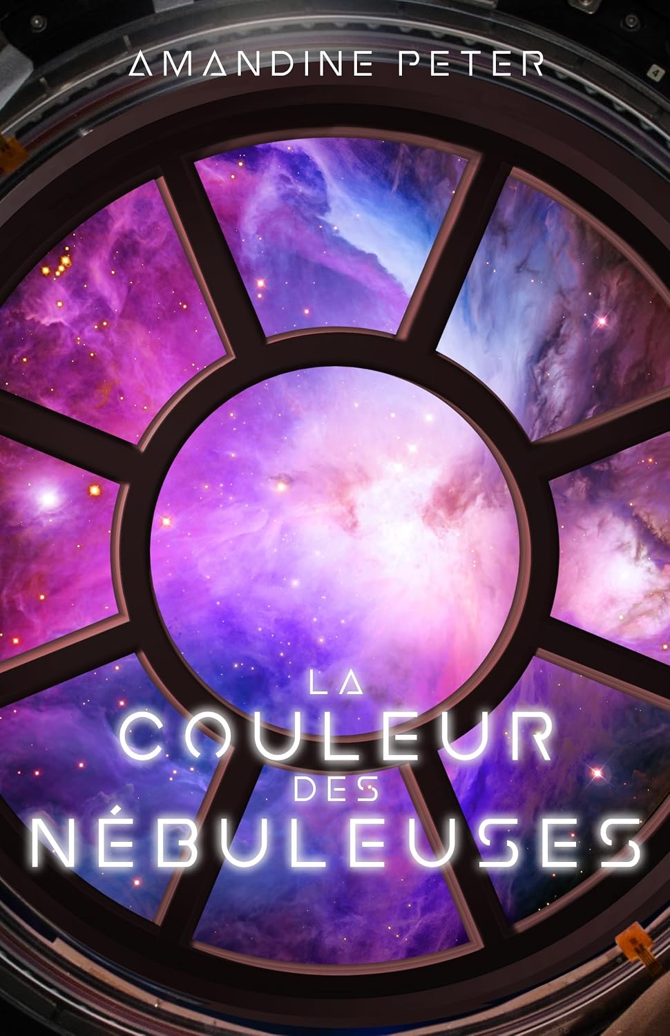 La couleur des Nébuleuses (Les Nébuleuses t. 1) (French Edition)