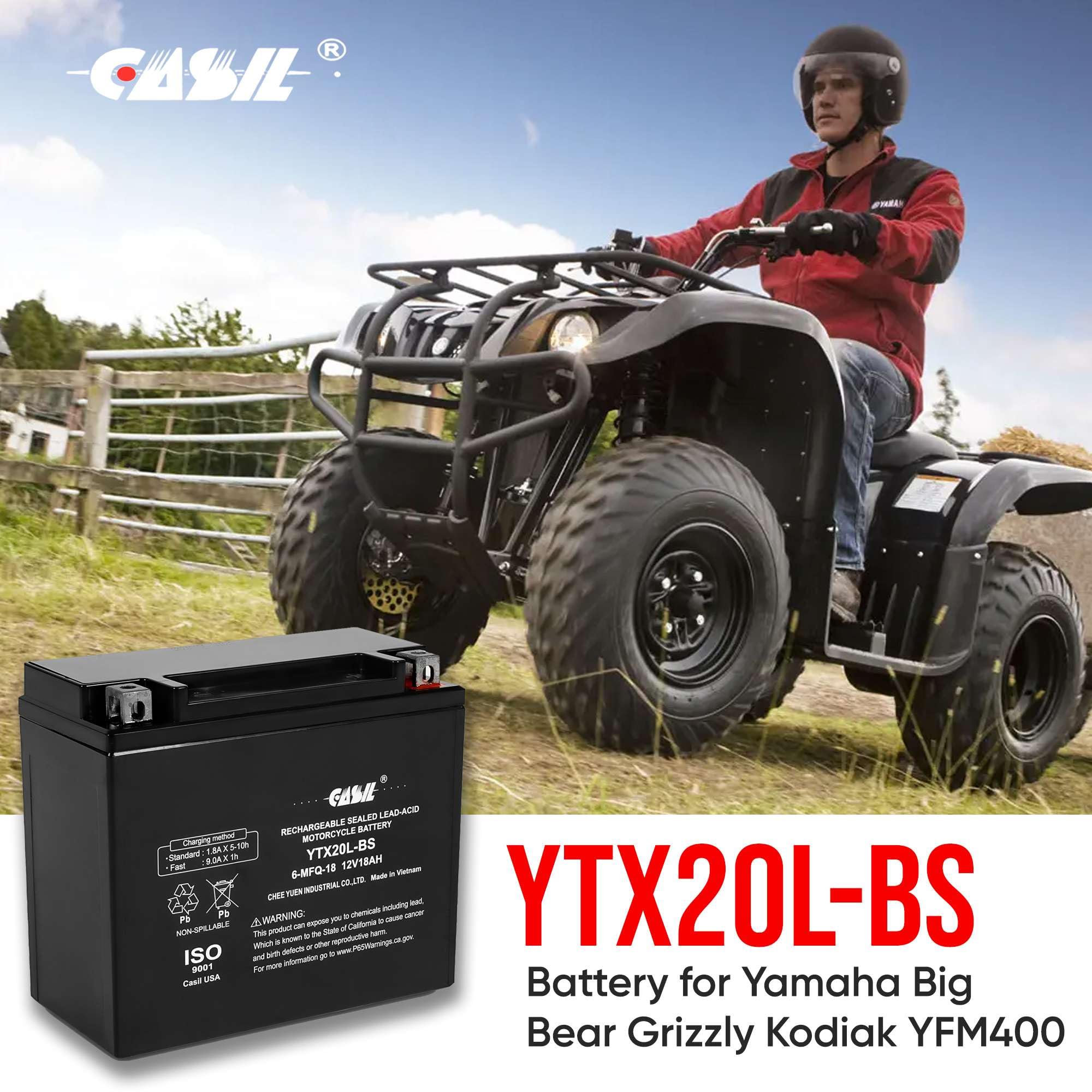 バット mtom2002 Amazon.com: YTX20-BS AGM BATTERY Replacement for KAWASAKI