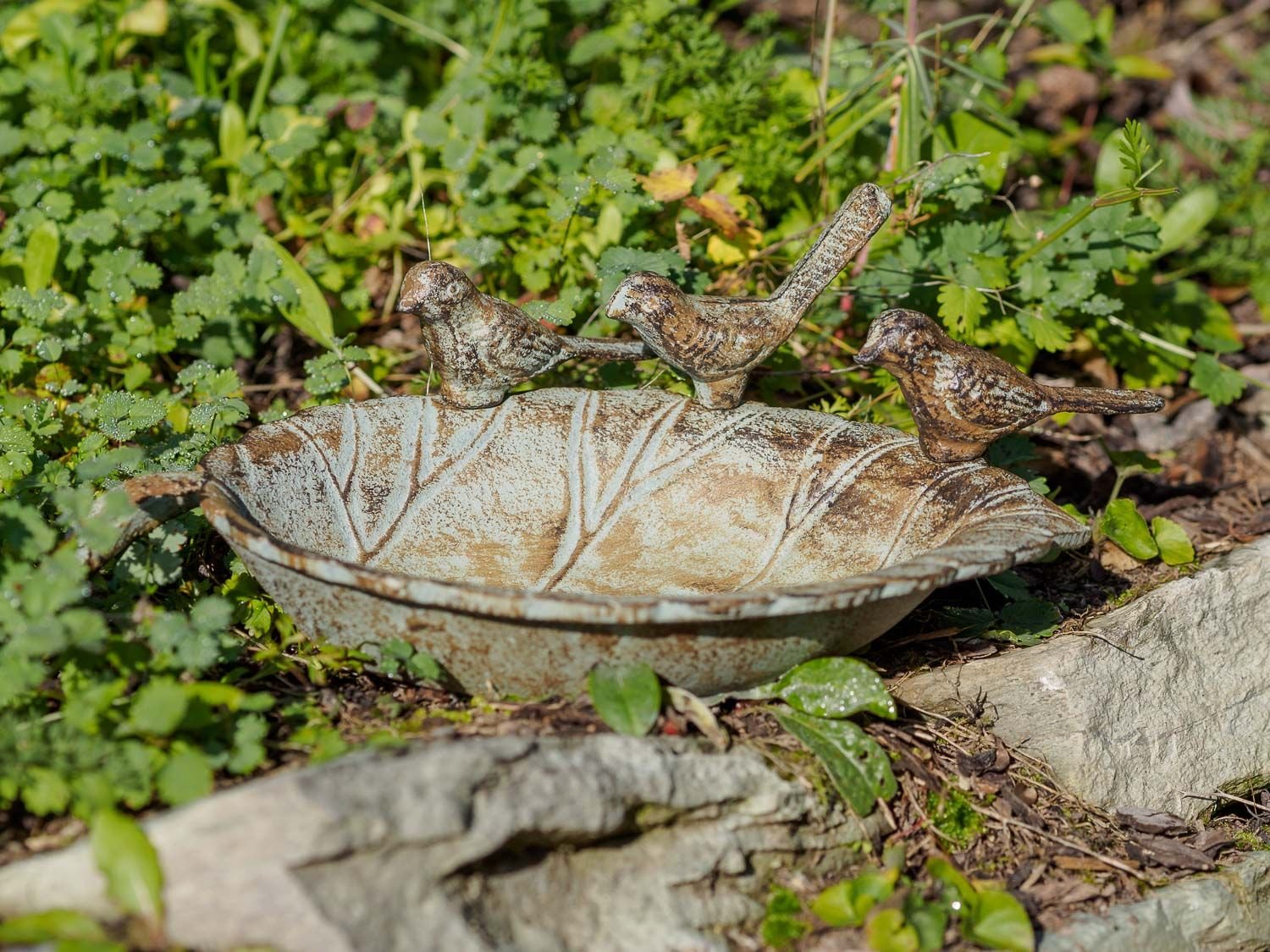 Bebedero para pájaros bebedero para pájaros cuenca del pájaro verde jardín