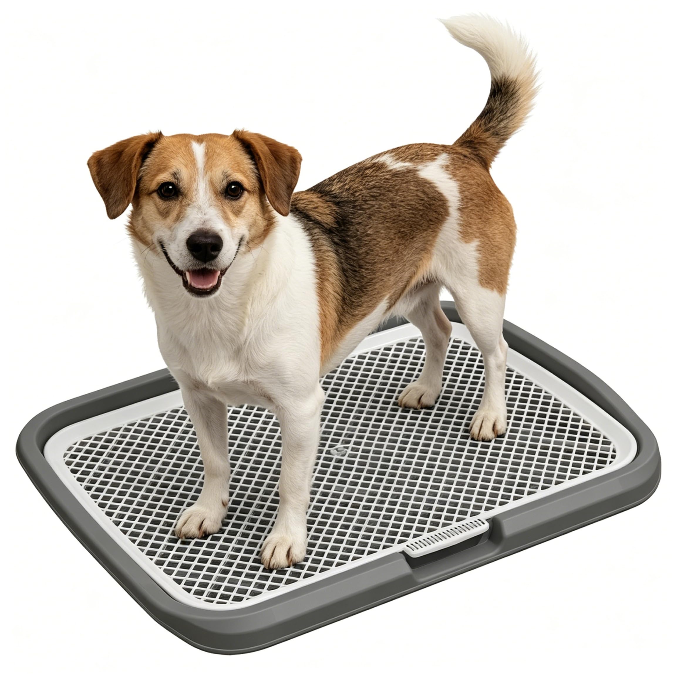 Plateau de pot d'intérieur pour chien de taille moyenne avec bac à grille