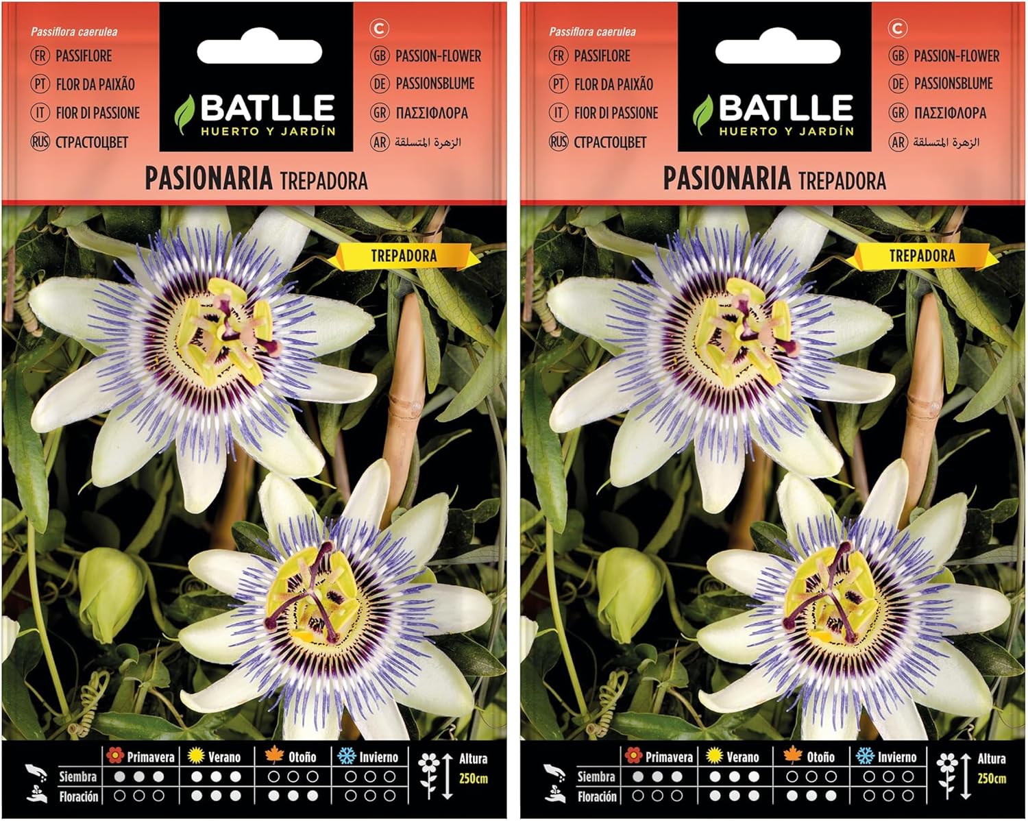 Batlle Climbing Passifor White (Pack of 2)