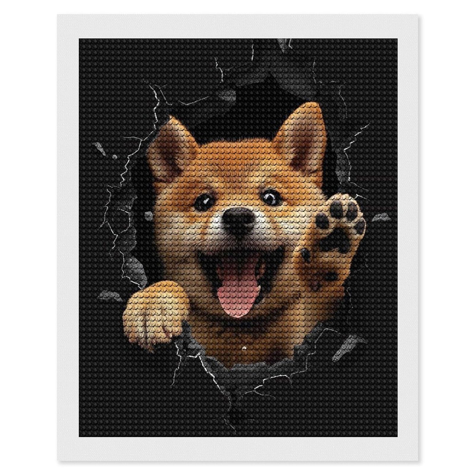 Junmoney Shiba Inu(2) Diamond Painting Canvas Set 16"x20", Satisfying Creative Project, Easy to Follow Symbols, Fun Craft Experience