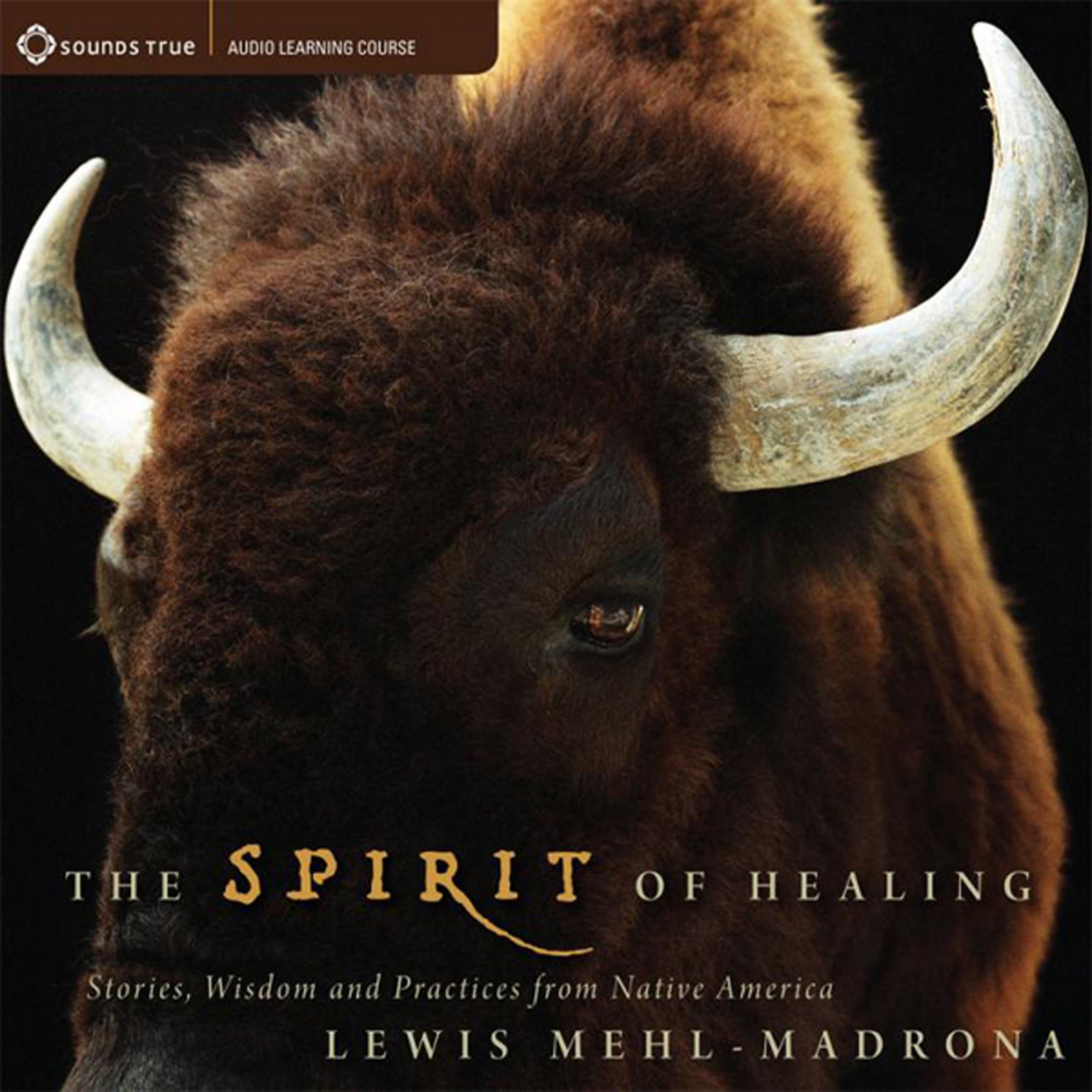 Cover art for The Spirit of Healing