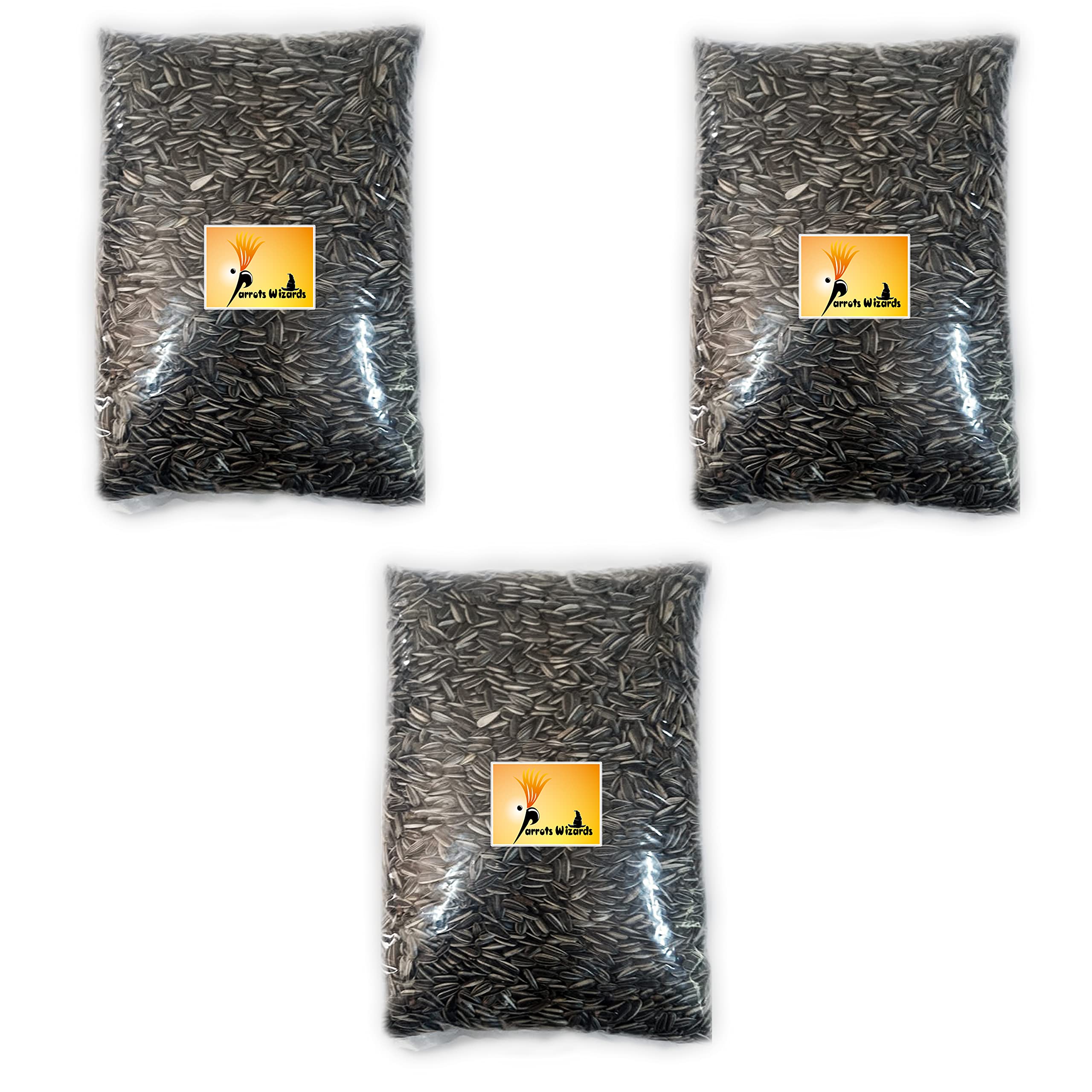 Parrots Wizard Bird Food Small Size Strip Sunflower Seeds 2700 Grams, 1 Count (B09FXZD4NC) Amazon Price History, Amazon Price Tracker