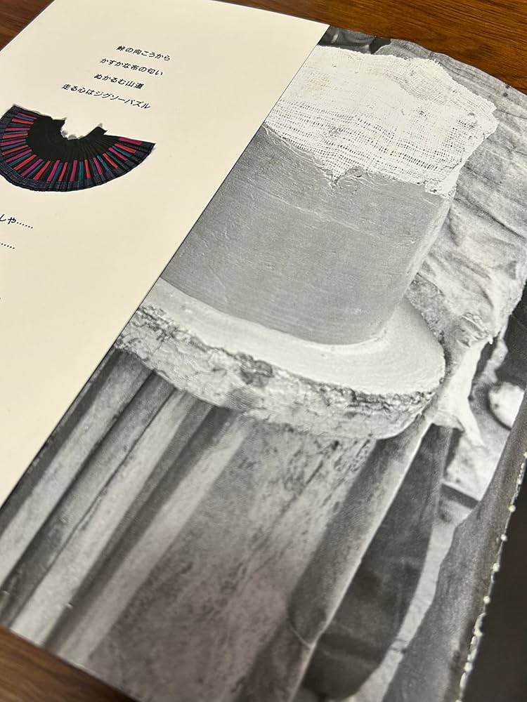 布の風に誘われて: 中国貴州苗族染織探訪13年 | 鳥丸 貞恵