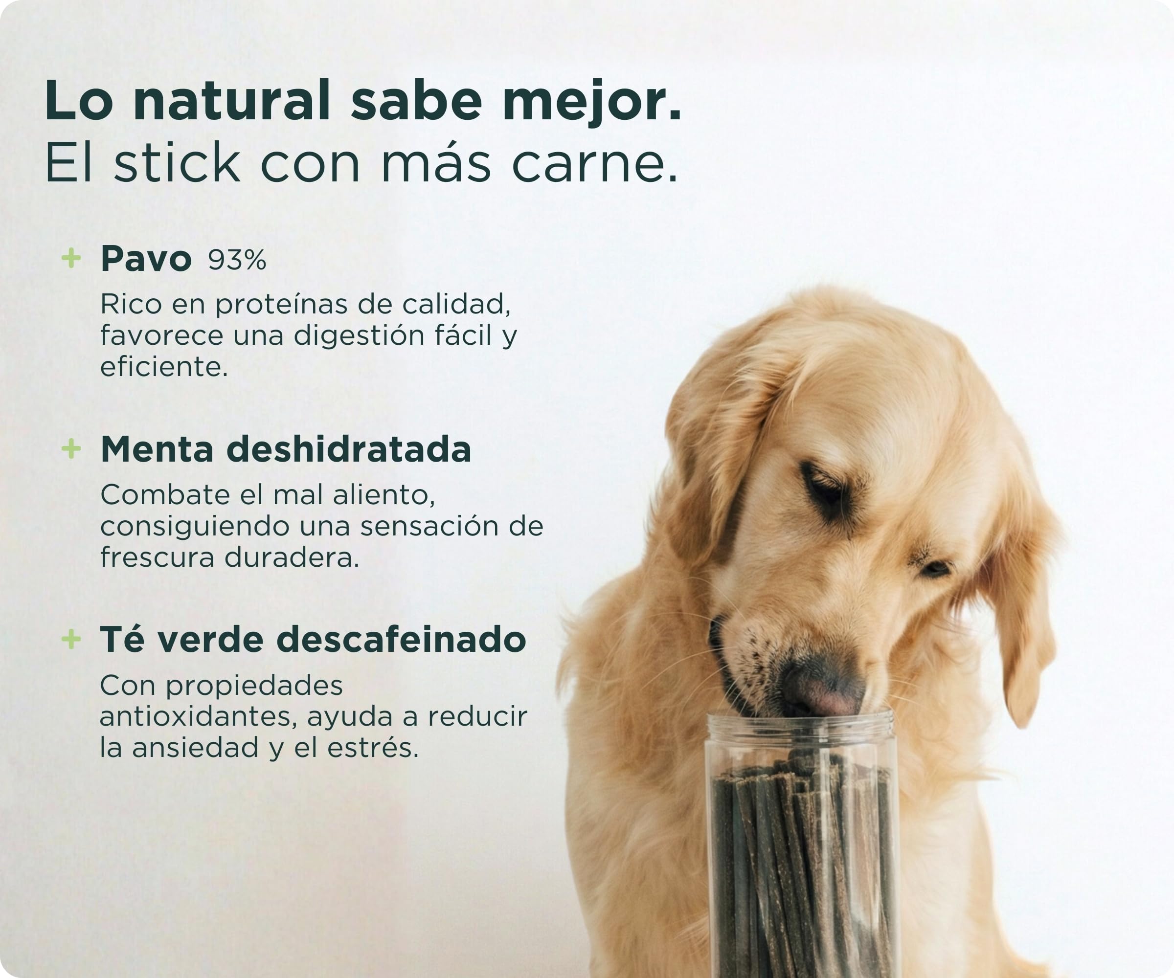 Wolf Belly - Stick Dental Perro Natural (28 uds) 93% Pavo y Menta sin Cereales | Higiene Dental & Aliento Fresco | Textura Resistente | Delicioso Sabor Carne | Rico en Proteínas - Producido en Europa