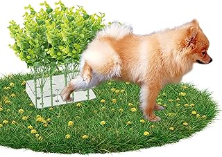 Dog Pee Post Training Tool