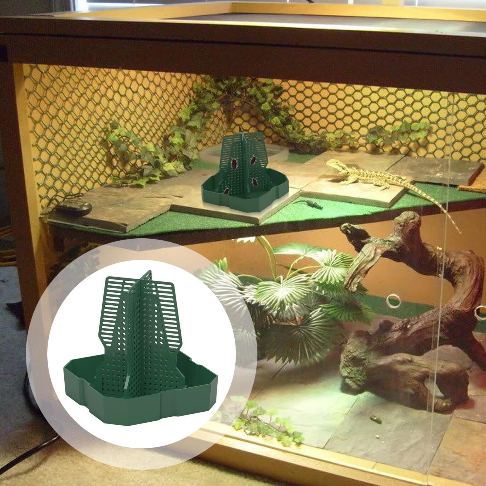 Karmnik | Organizator ?ywego | Podajnik superrobaków | Akcesoria do karmienia kameleona z 11,2 x 11,2 x 12 cm / 4,41 x 4,41 x 4,72 Idealny dla zdobyczy