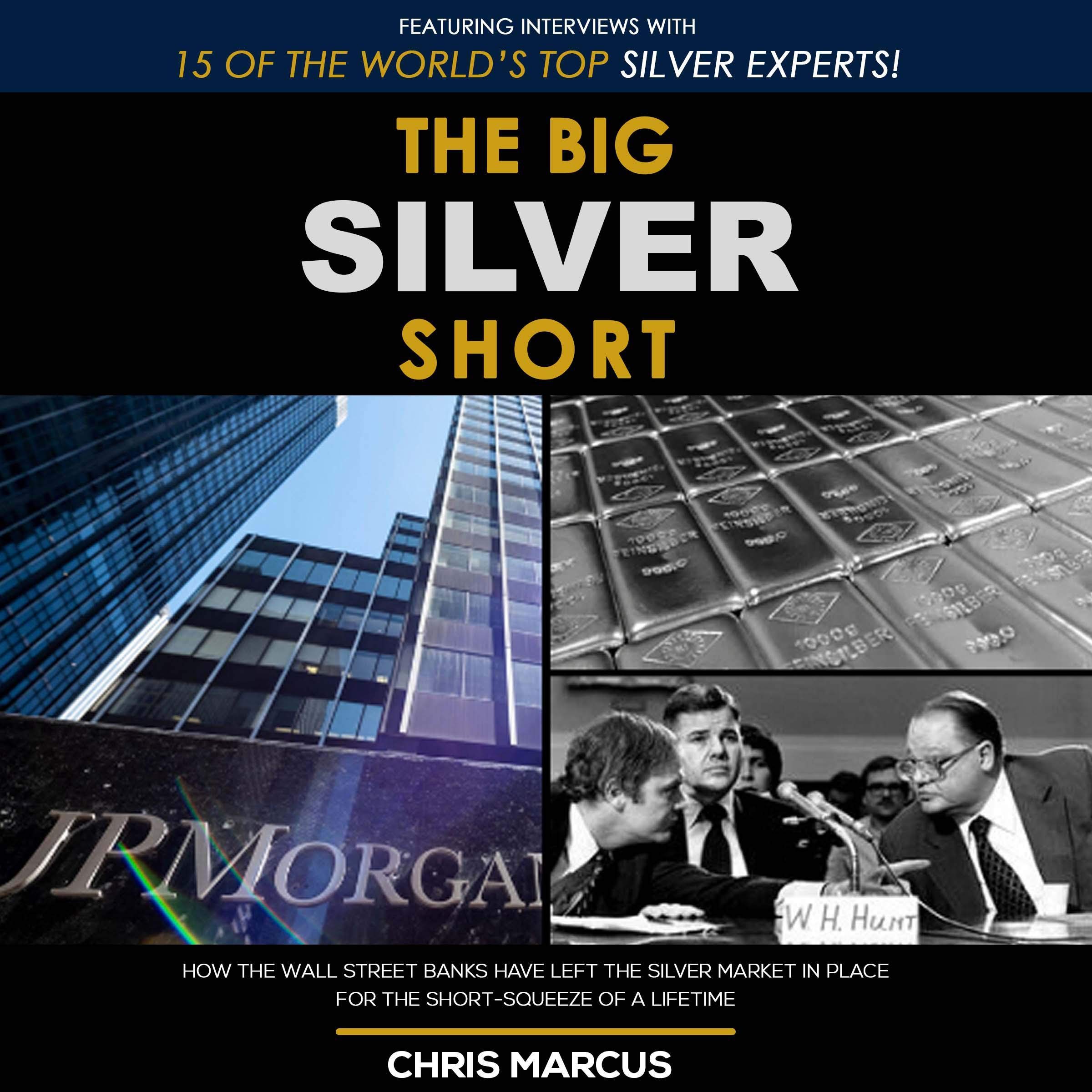 Cover art for The Big Silver Short