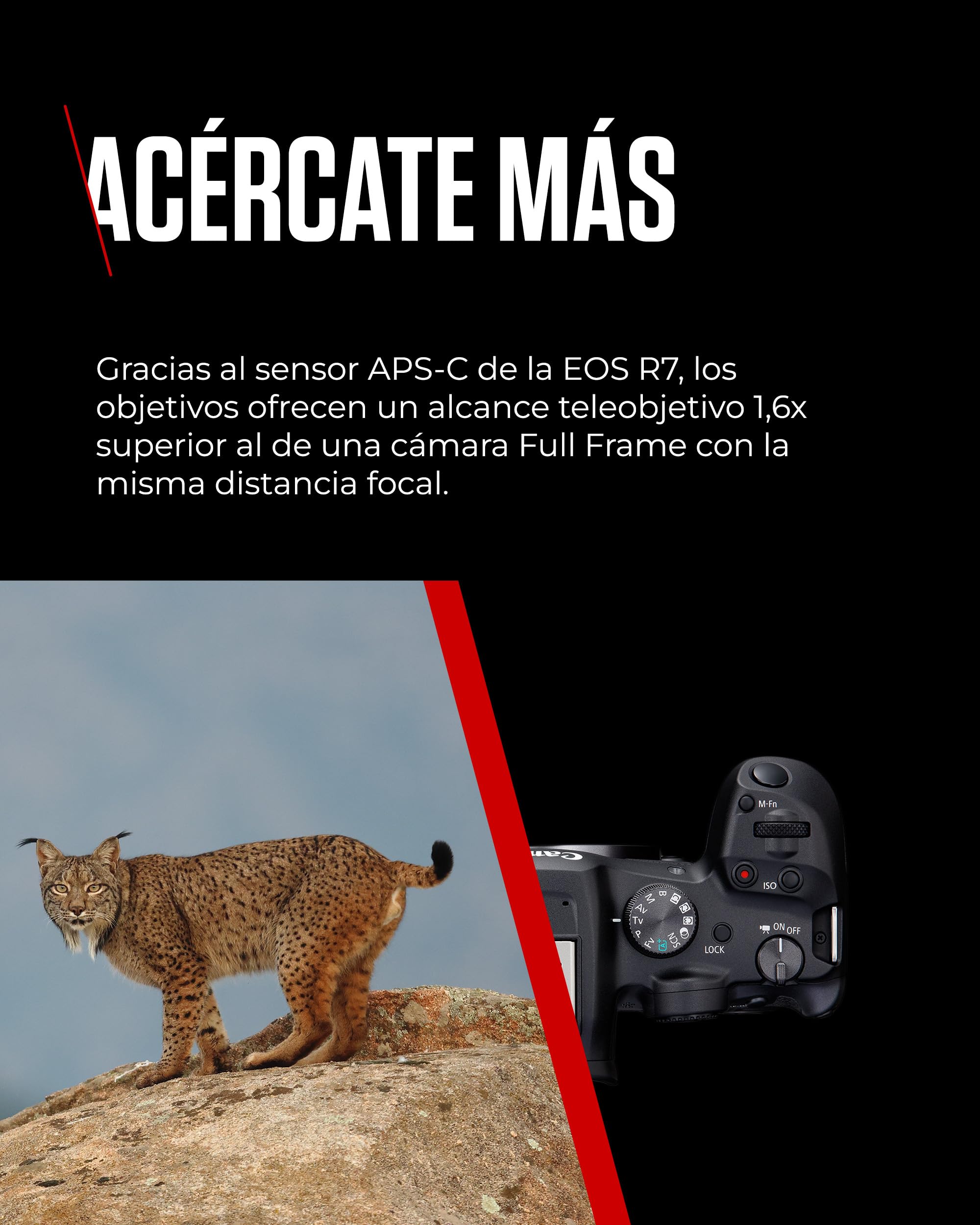 CANON EOS R7 Cámara Mirrorless Body, Cámara EVIL APS-C (32,5 MP) -5 EV, Vídeo 4K 60 fps, Dual Pixel CMOS AF II, Pantalla Táctil de Ángulo Variable, Negro