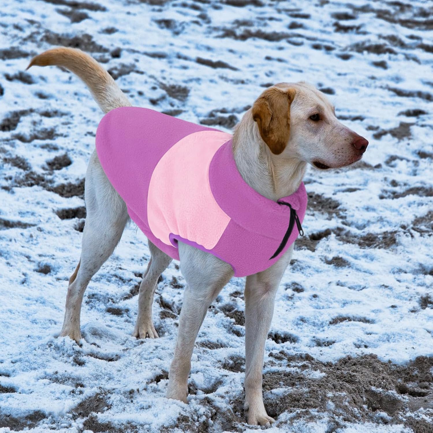 Queenmore Large Fleece Dog Sweater, Soft Dog Fleece Sweater, Pet Vest Winter Jacket Coat Sweatshirt for Male or Female Cats Puppy Small Medium Large Breed