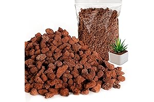 Red Lava Rocks for Landscaping: 10LB of Decorative Stone Magic