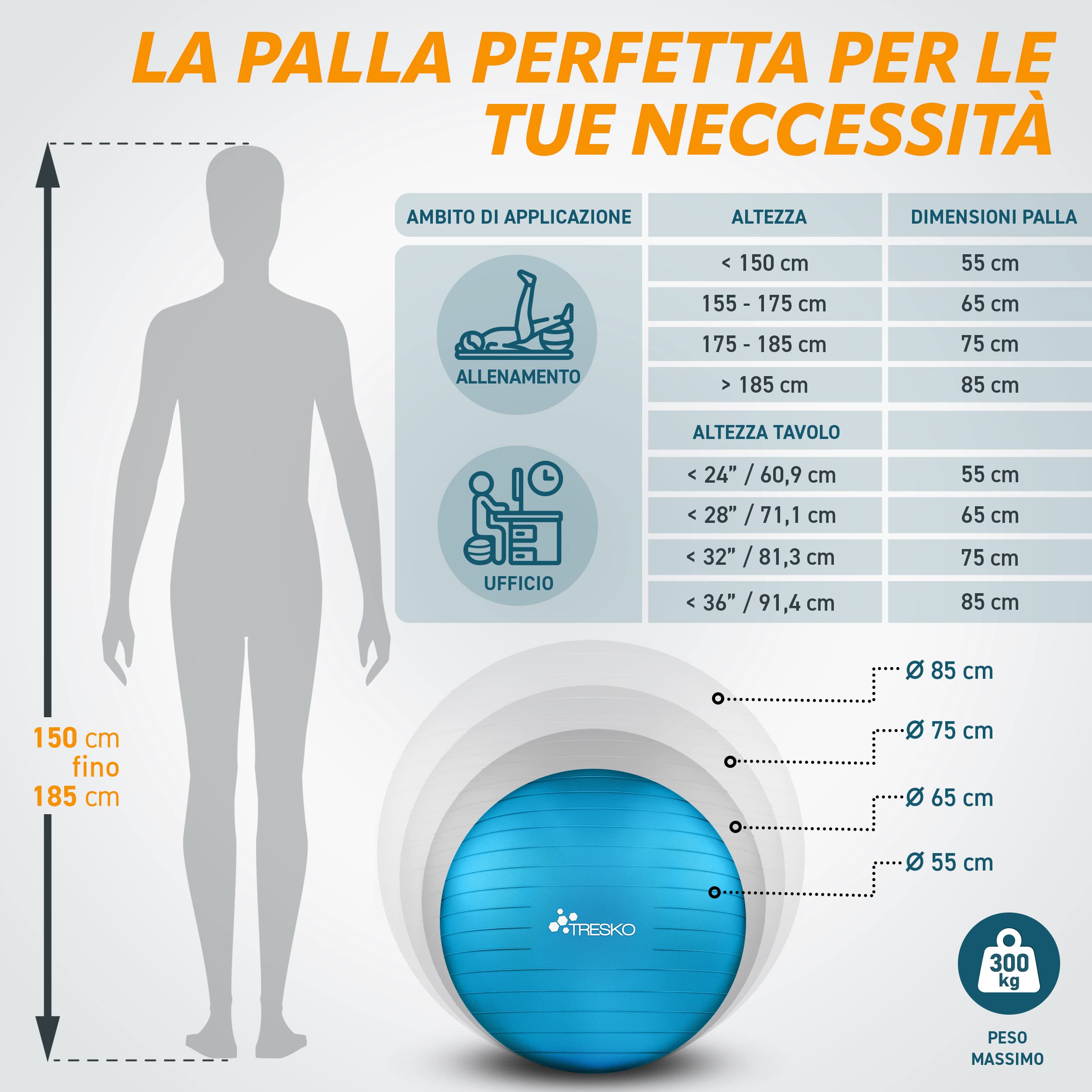 TRESKO Palla Fitness, Palla Pilates Anti-Scoppio 55cm/65cm/75cm/85cm Palla da Ginnastica con Pompa Rapida per Fitness Yoga e Pilates