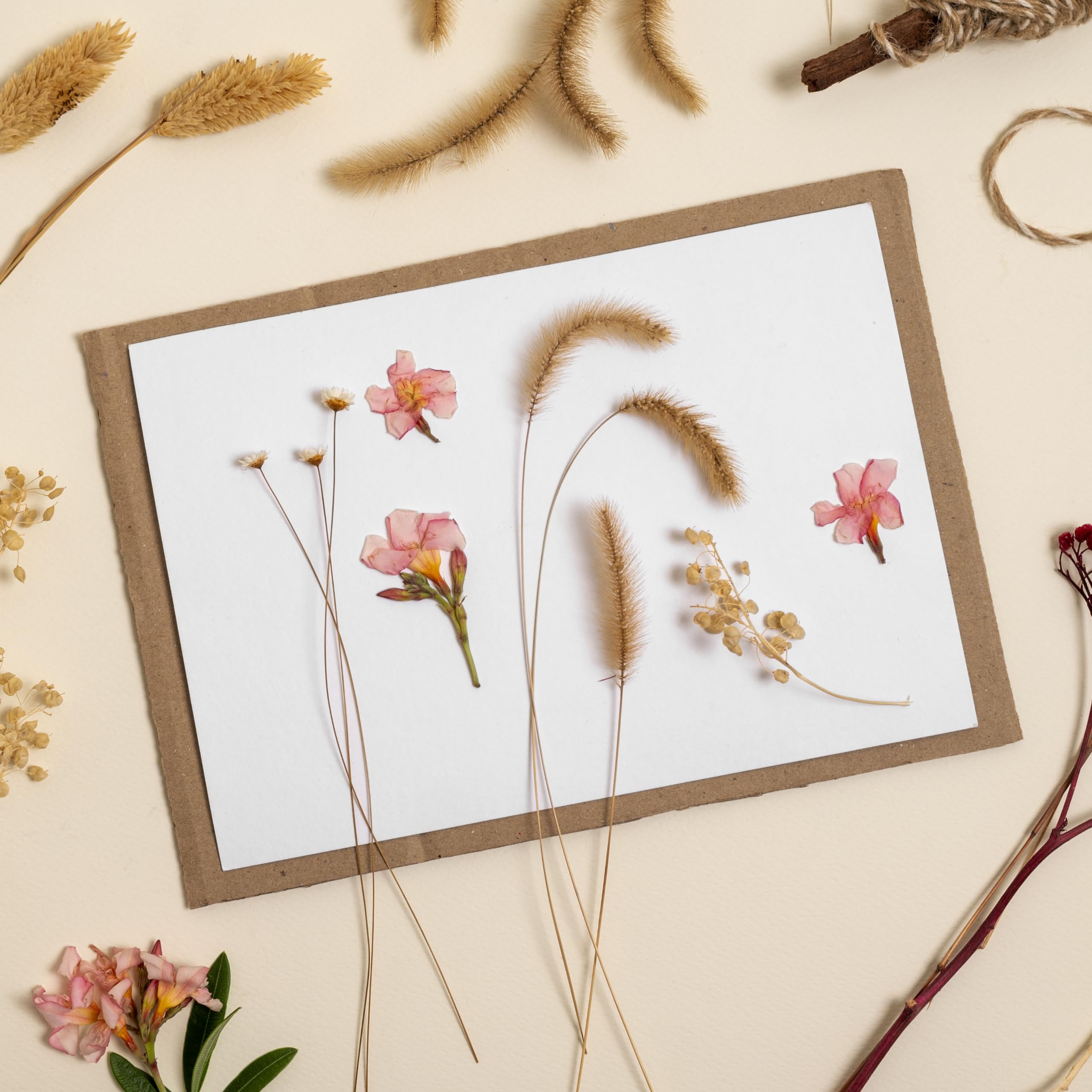 Lot de 100 cartes vierges et enveloppes, 12,7 x 17,8 cm, cartes vierges de qualité supérieure avec enveloppes, cartes de vœux vierges avec enveloppes pour la fabrication de cartes, Noël, anniversaire