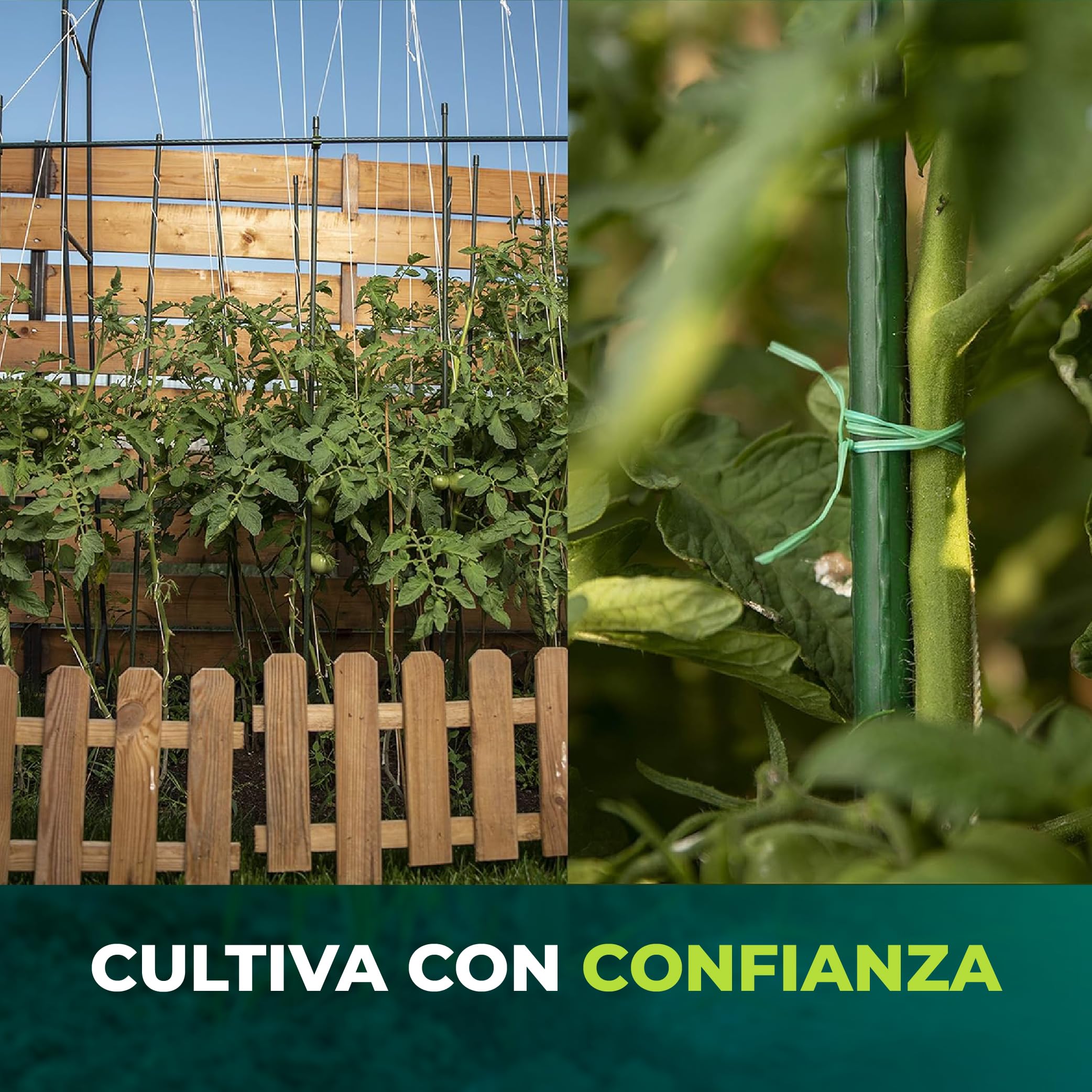 CONTROL GARDEN Pack 30 Tutores de Acero Plastificado para Plantas Alto 180 cm Ø 10 mm | Varillas Crecimiento Plantas | Soporte Cultivos Apto Interior y Exterior