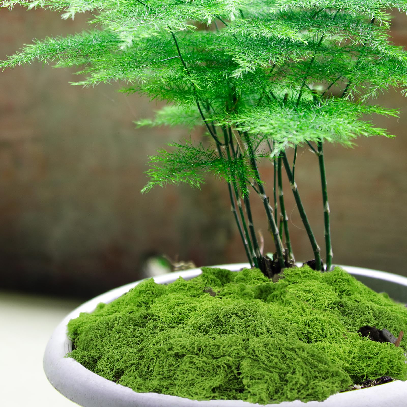 Mousse Artificielle Décorative - 200 G (vert Foncé + Vert Clair) - Pour Aquariums, Maisons De Poupée, Décoration Miniature - Souple, Lavable, Réaliste - 2 Mm D'épaisseur, Couvre Environ 30x120 Cm