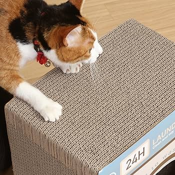 猫 楽天市場】aoneco アオネコ がま口財布 レディース ミニ財布