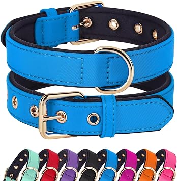 Didog Soft Padded Dog Collars for Small Dogs, Lightweight and Breathable Dog Collar with Metal Buckle for Puppy, Blue, S