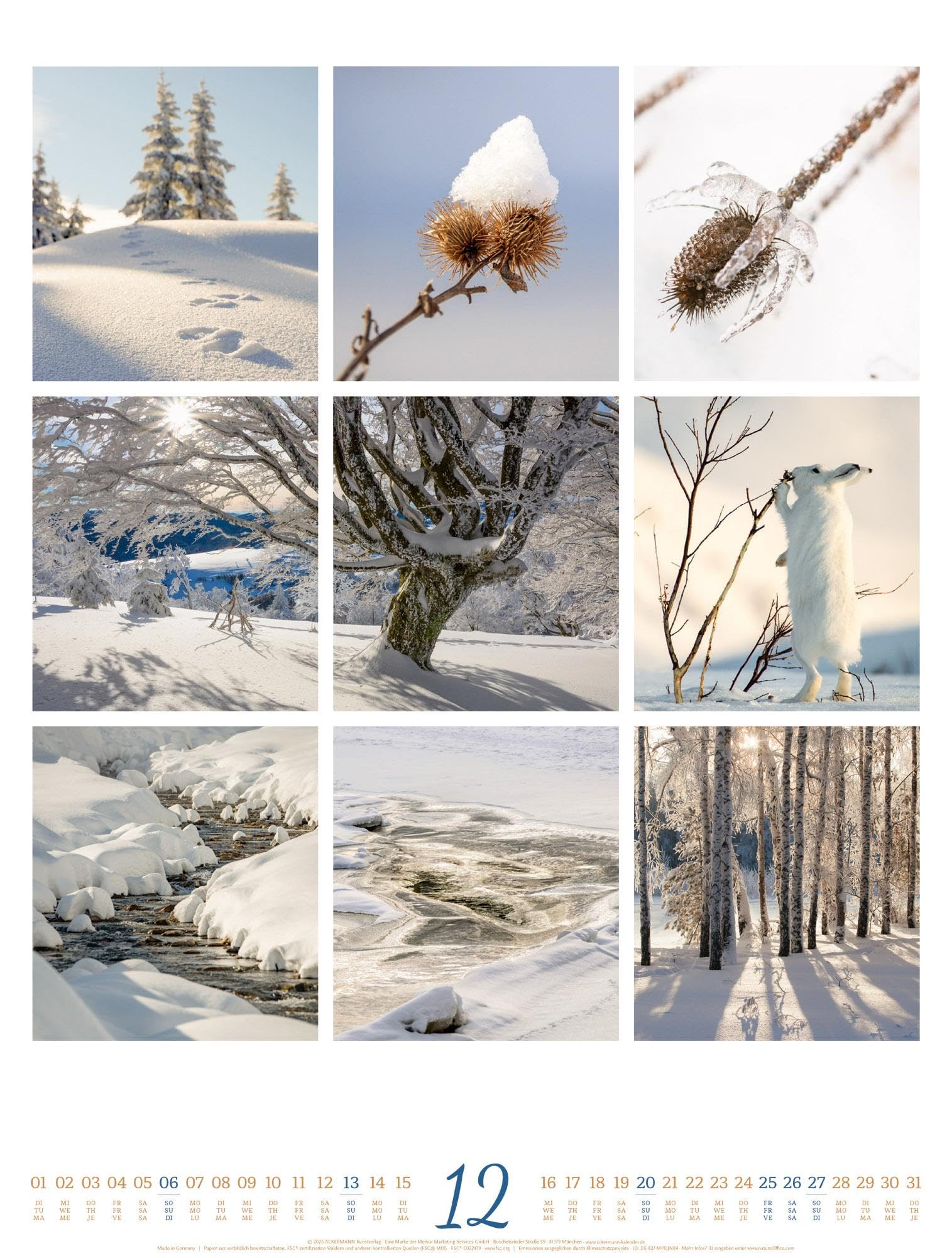 Inspiration Natur Kalender 2026 | Vielfältiger Natur-Kalender im großen Hochformat (50x66 cm) | Mehrteilige Bildmosaike im Triplet-Stil