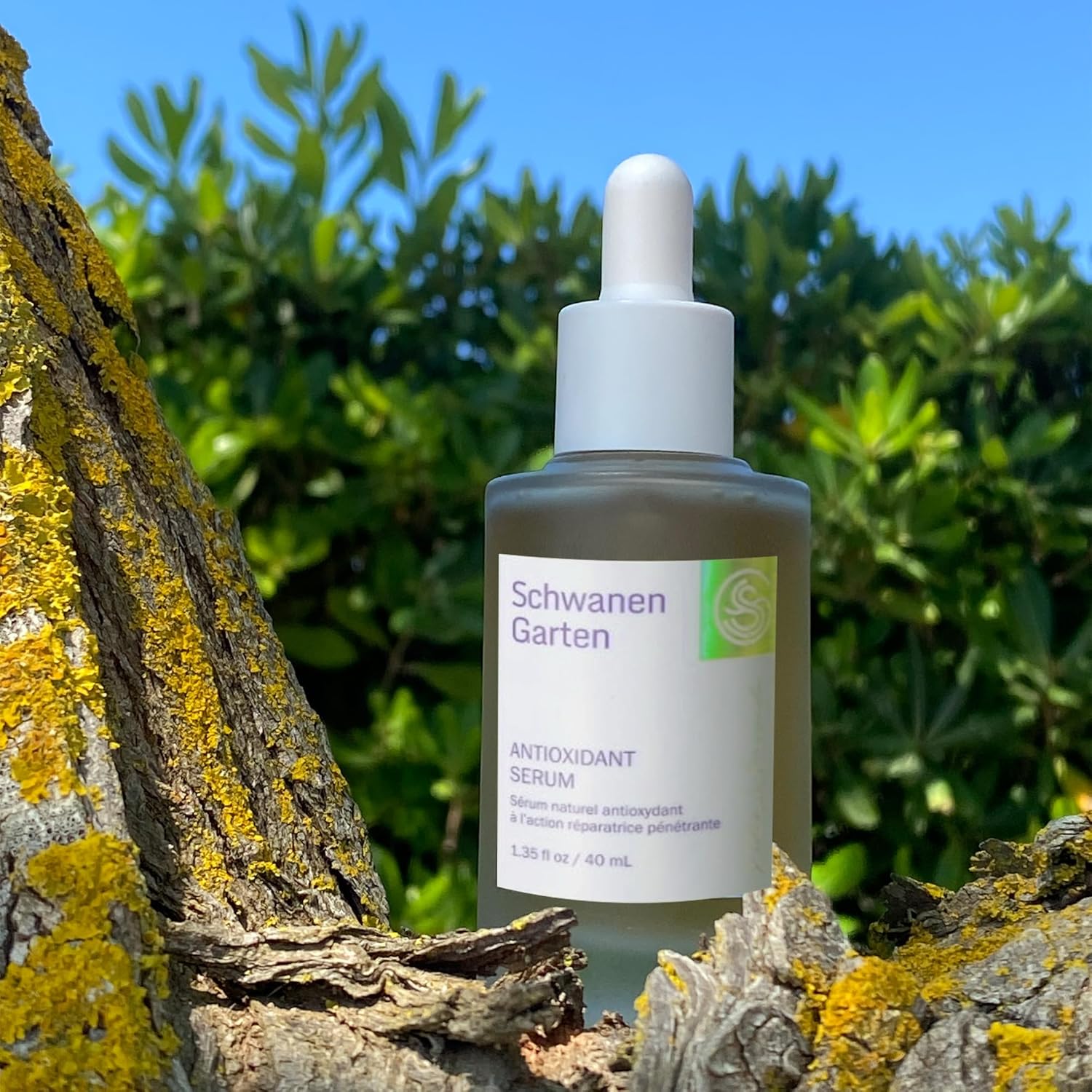 Antioxidant Serum for Glow Skin, Hydrating, Soothing, Centella Asiatica, Korean Skin Care 1.35oz / 40ml - Image 4