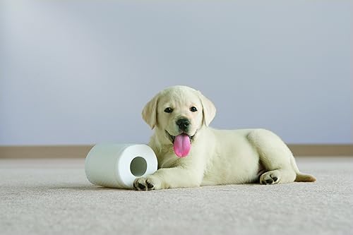 Miniatura 7 de Cottonelle Papel higiénico Clean Care, rollo doble, paquete de 18