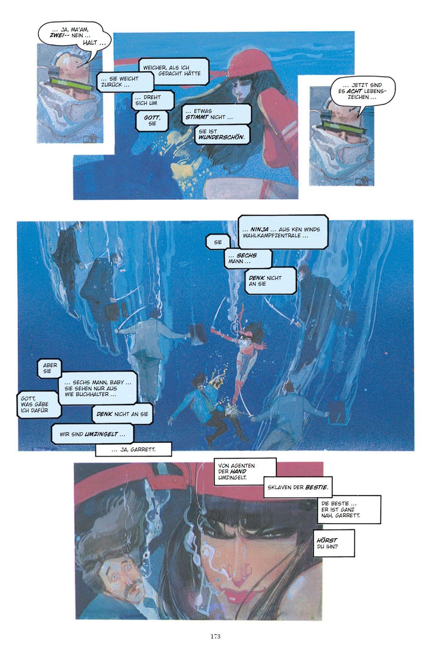 Elektra Collection von Frank Miller