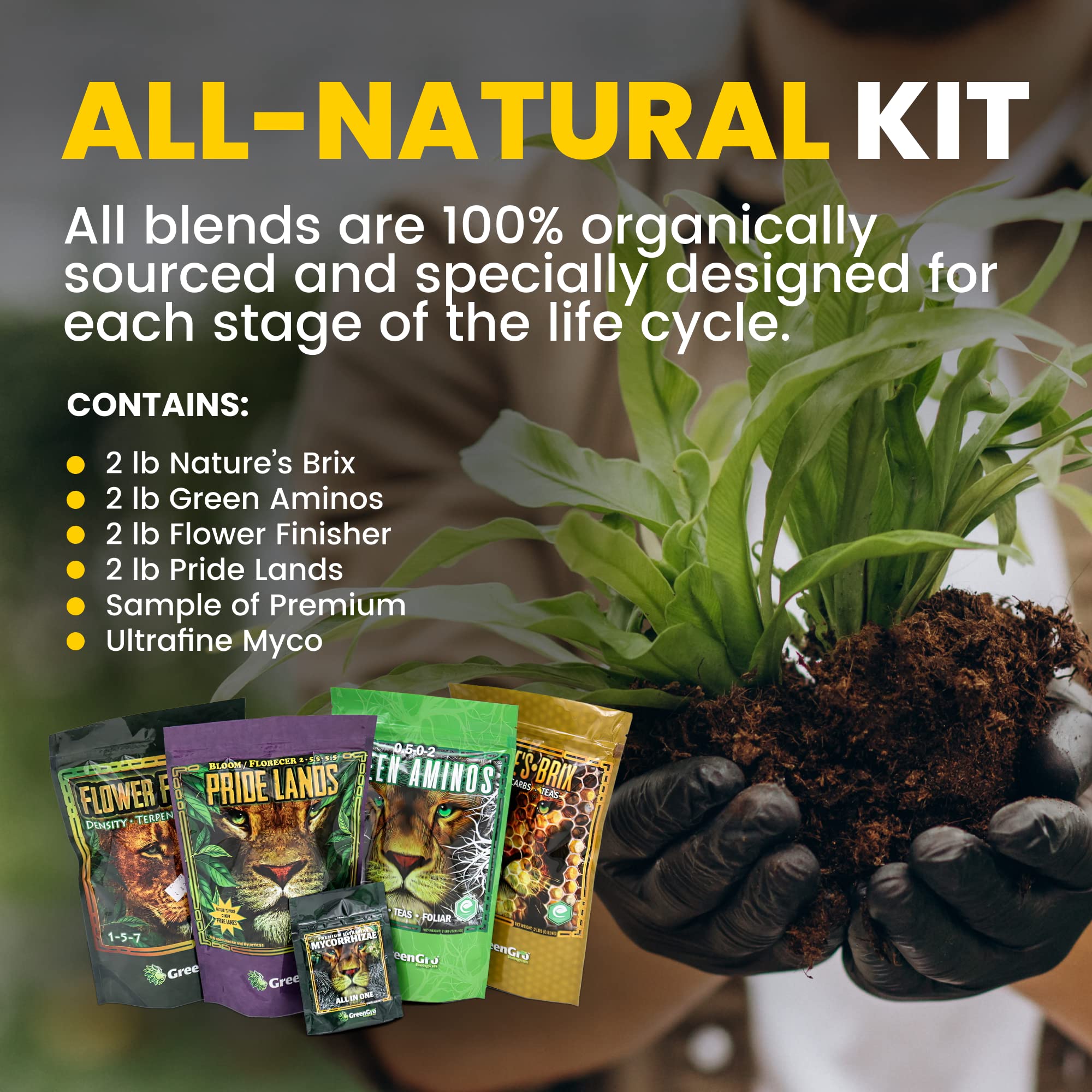 Greengro Auto Box Kit - Image 4