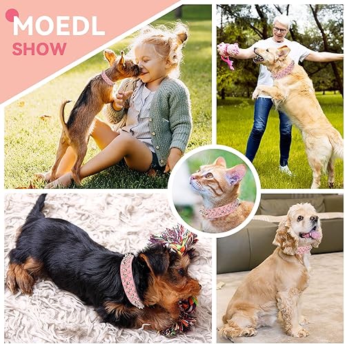 Miniatura 6 de PETCARE Collar de perro con pinchos, de piel sintética suave, color rosa, con diseño de hongos, remaches, tachuelas, collar ajustable para perros