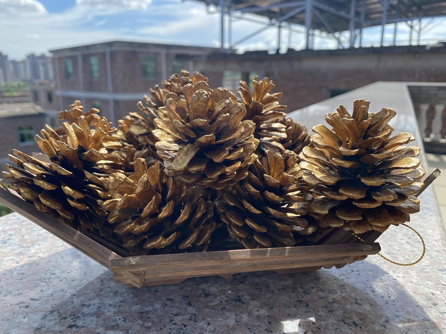 VERIMP Pine Cones, Natural Pinecones for Christmas & Halloween Decor (16PCS, 1.97" - 2.95", Brown, Pine Material)