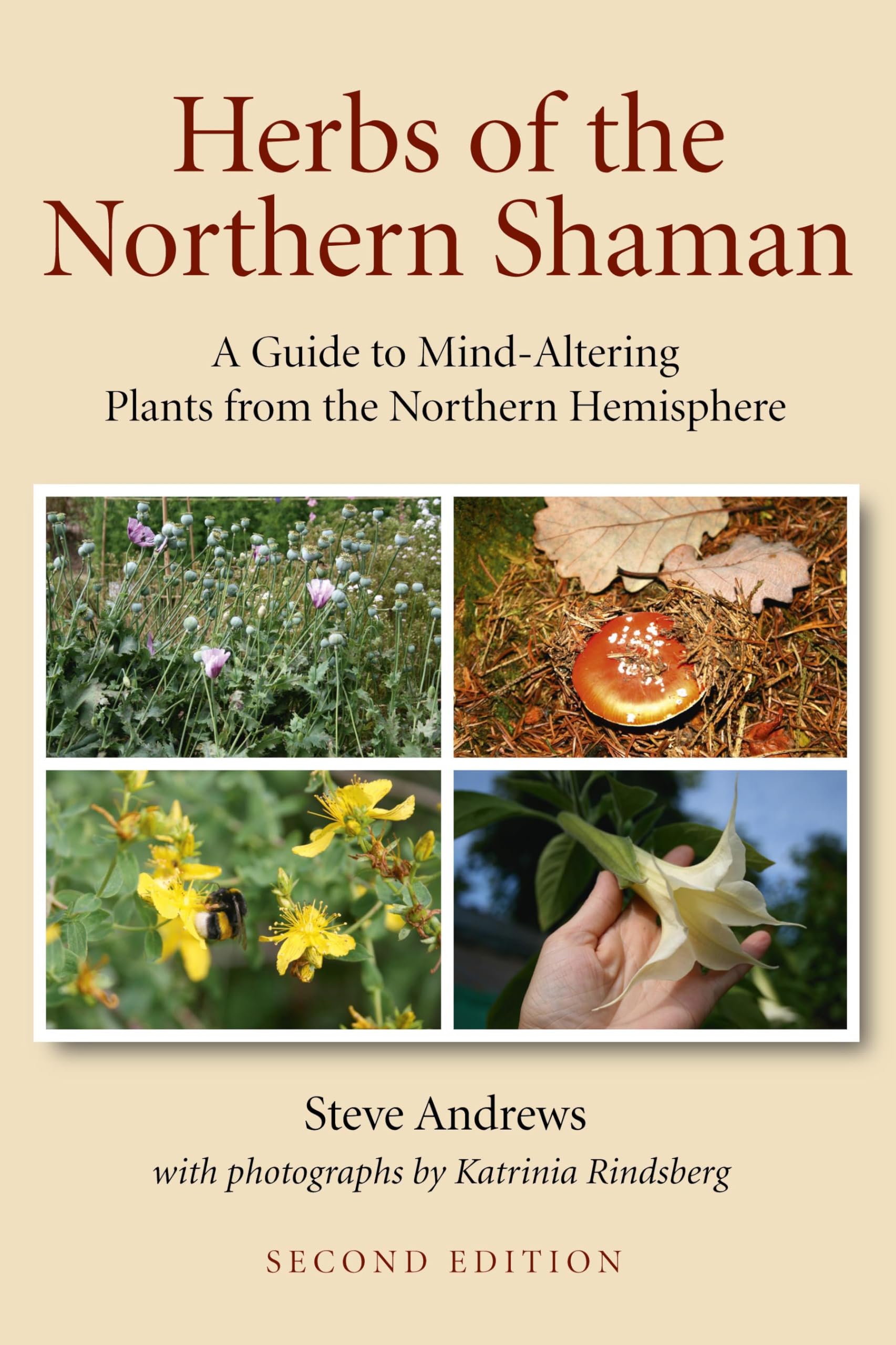 Herbs of the Northern Shaman by Steve Andrews (Paperback Book)
