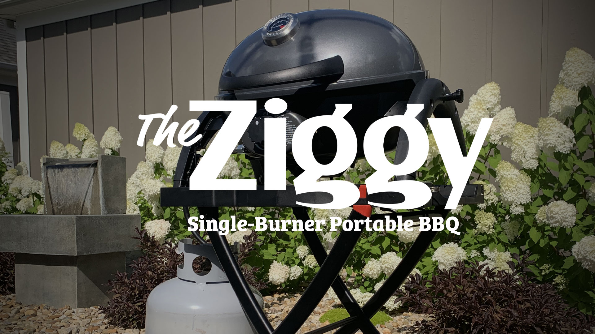 Amazon.com: Ziggy Portable Single-Burner Gas Grill, Grey : Patio