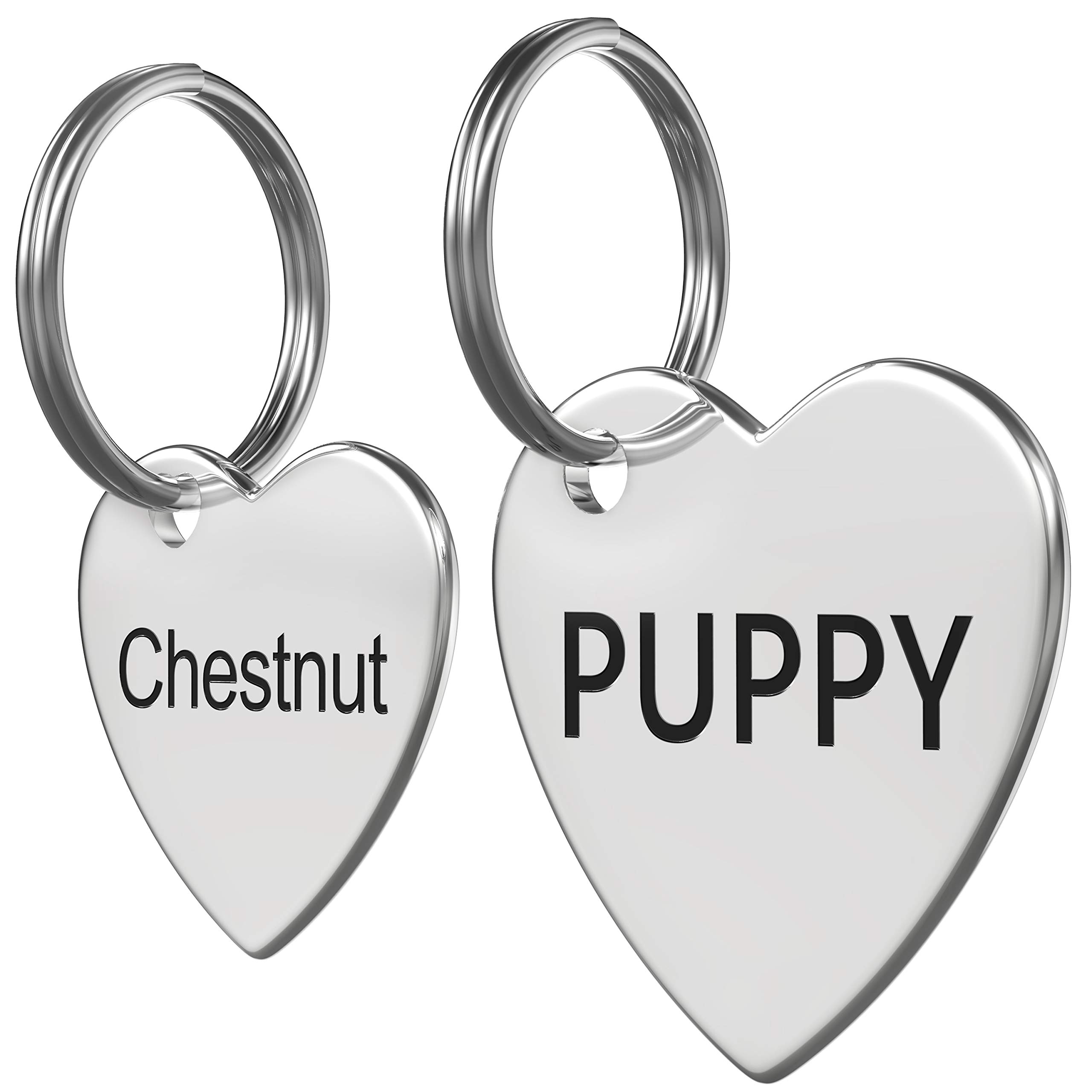 Stainless Steel Pet ID Tag Front and Back Custom for Dog Cat Personalized