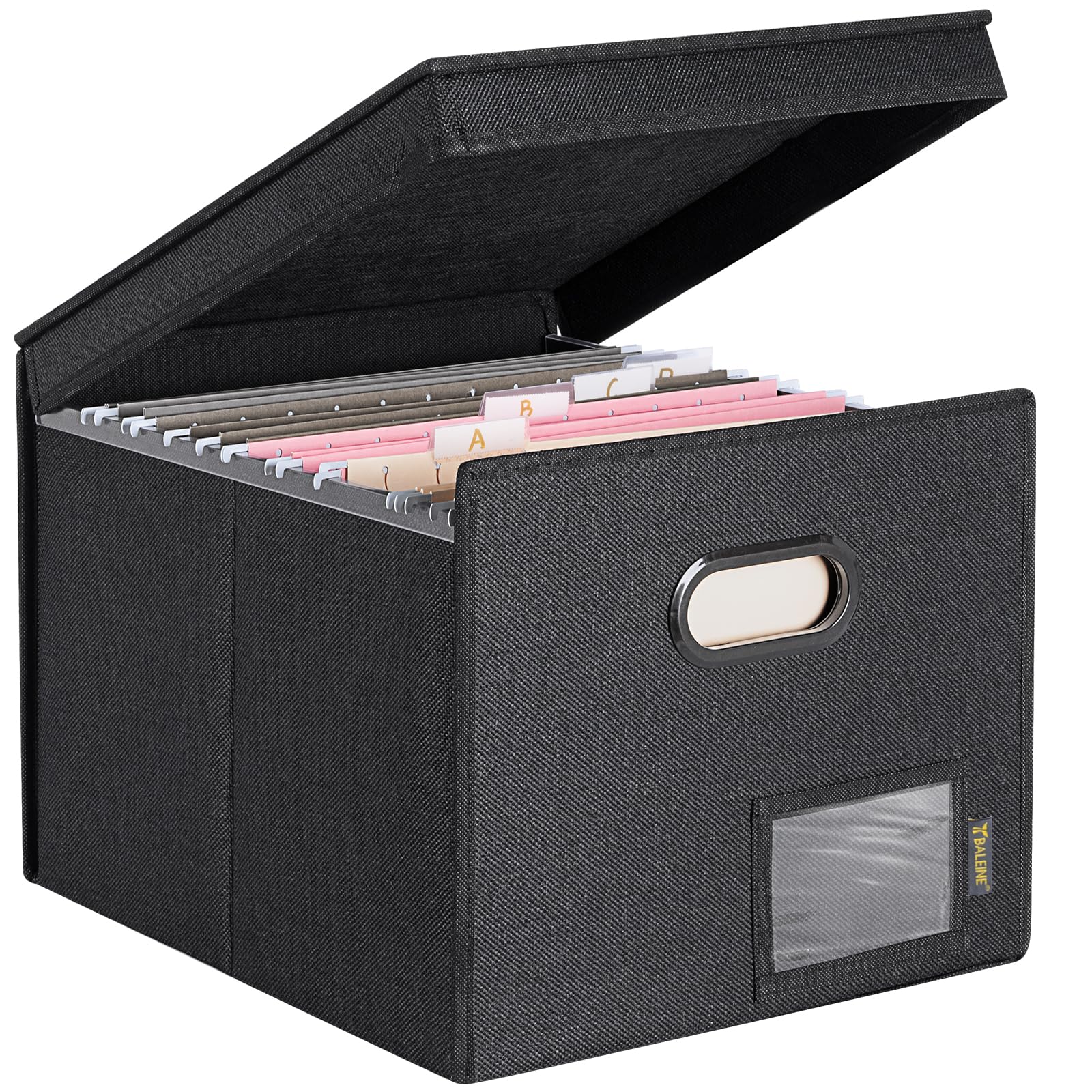 BALEINE File Organizer Box with Lid, Collapsible Hanging File Storage Box