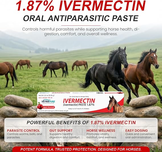 Ivermectin Horse Paste 1.87%, Horse Dewormer, Horse Wormer Syringe (6 Pack)