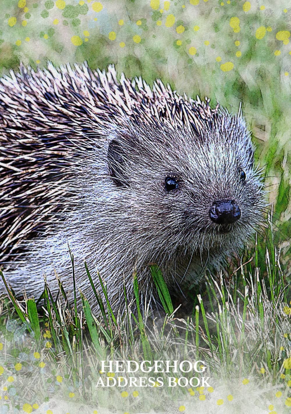 Hedgehog Address Book: Alphabetical Addresses | Anniversaries & Birthday Reminder | Meanings | Notes & Personal Information | Watercolour Hedgehog Design
