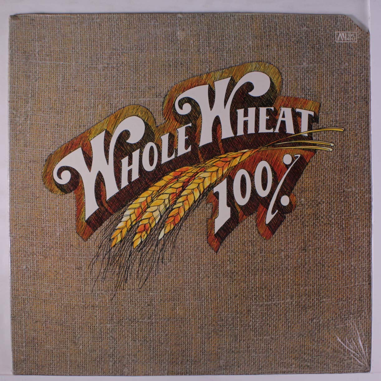 100 whole wheat CDs & Vinyl